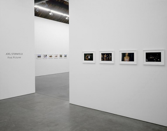 Joel Sternfeld, First Pictures
