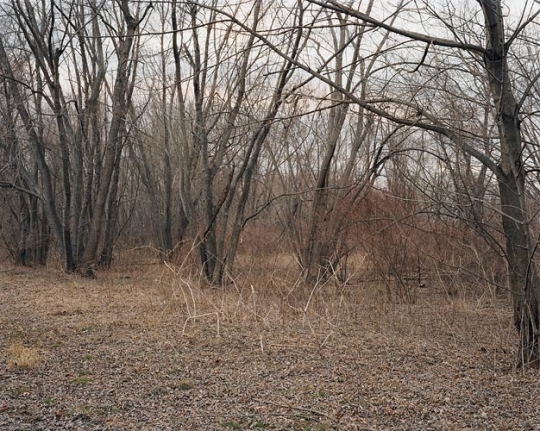 Joel Sternfeld March 30, 2006, The East Meadows, Northampton, Massachusetts