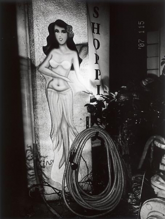Daido Moriyama Hawaii, 2007/2010