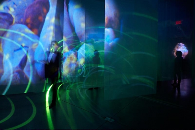 Pipilotti Rist Layers Mama Layers, 2010