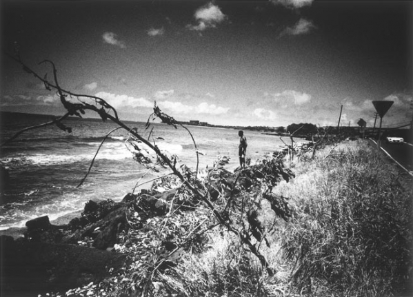 Daido Moriyama Hawaii, 2007/2008