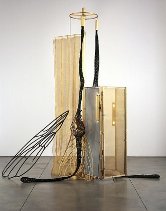 Tunga La Mouche, 2007