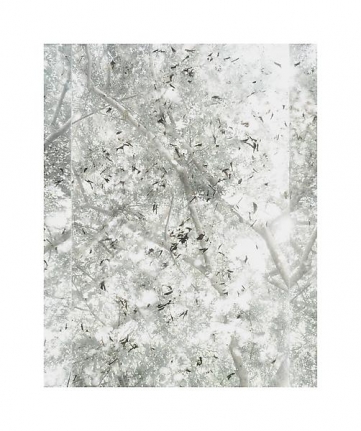Luisa Lambri Untitled (Sheats-Goldstein House, #41), 2007