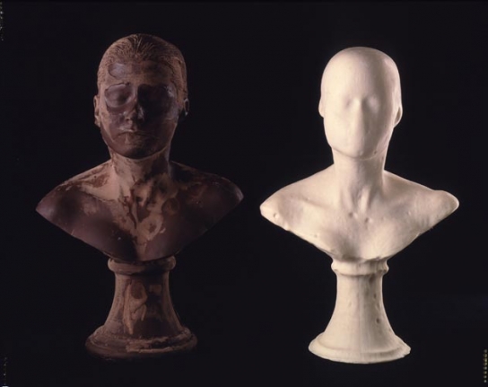 Janine Antoni Lick and Lather, 1993
