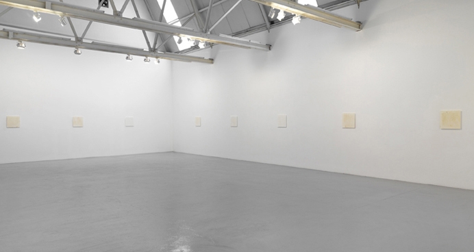 Roger Hiorns Installation view