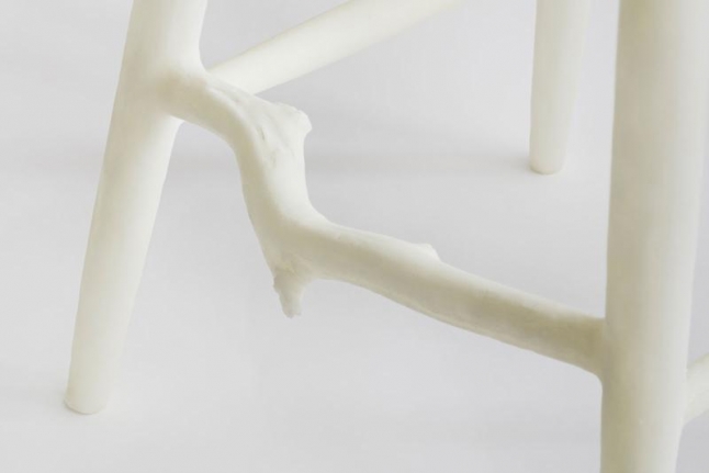 Janine Antoni to return, 2014