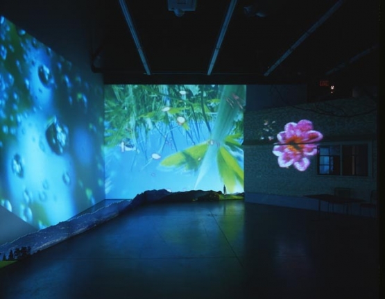 Pipilotti Rist Herbstzeitlose (Saffron Flower or Fall Time Less), 2004