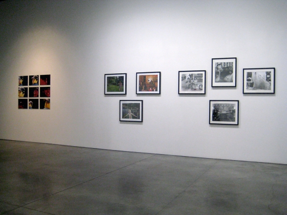 Luhring Augustine Presents, Installation view