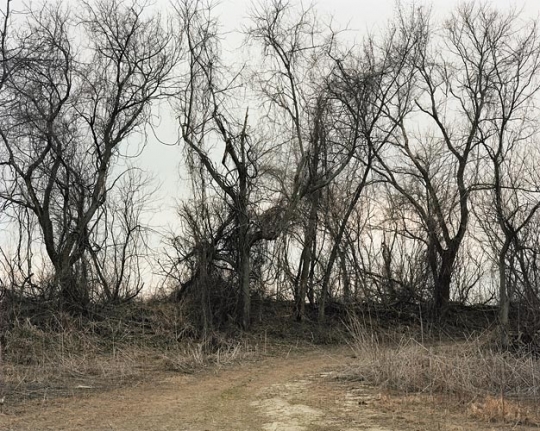 Joel Sternfeld March 13, 2006, â¨The East Meadows, Northampton, Massachusetts