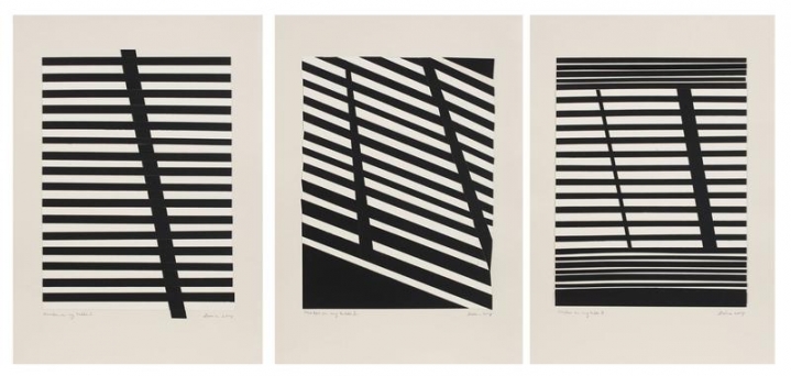 Zarina Shadow on my table I, II, III, 2014