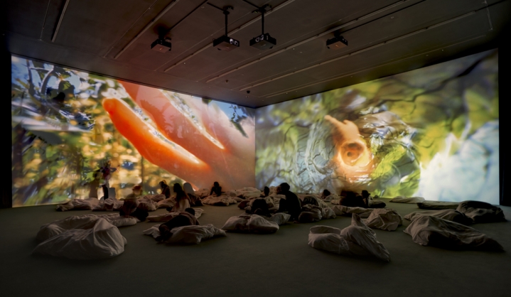 Pipilotti Rist, Worry Will Vanish, 2015