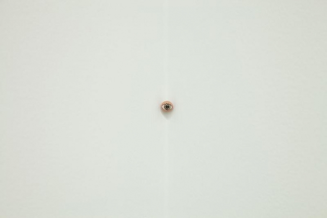 Tom Friedman See, 2014