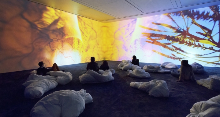 Pipilotti Rist, Worry Will Vanish, 2015