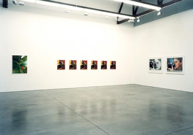 Strange Magic, Installation view