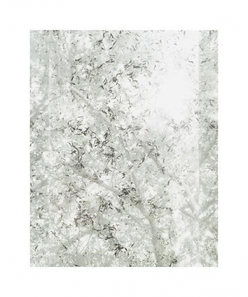 Luisa Lambri Untitled (Sheats-Goldstein House, #42), 2007