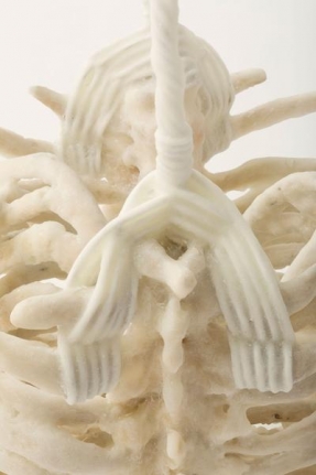Janine Antoni to coalesce, 2014