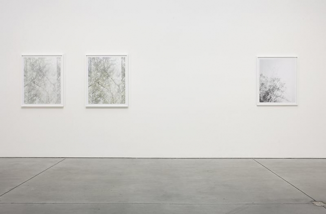 Luisa Lambri Certain Variables