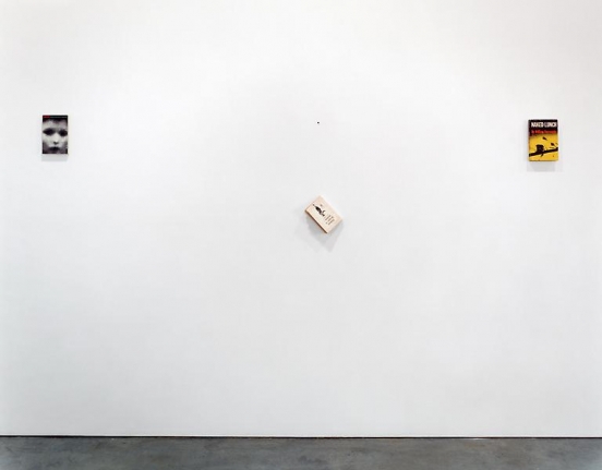 Steve Wolfe Installation view