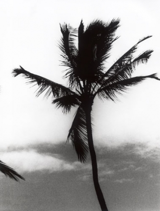 Daido Moriyama Hawaii, 2007/2010