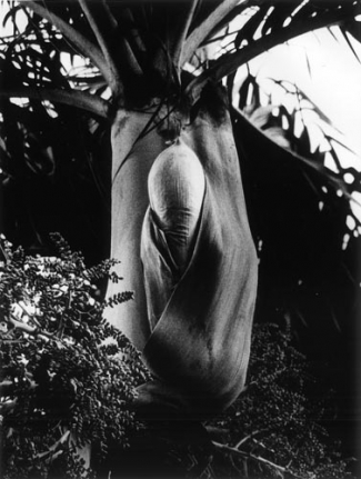 Daido Moriyama Hawaii, 2007/2008