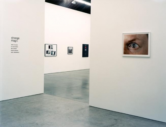 Strange Magic, Installation view