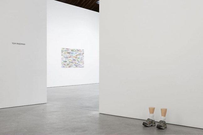 Tom Friedman New Work