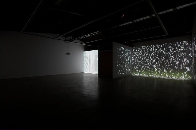 Charles Atlas The Illusion of Democracy