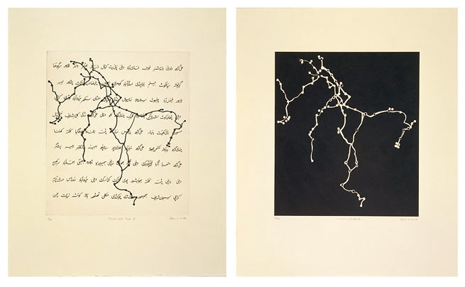 Zarina Travels with Rani I & II,2008