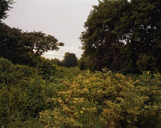 Joel Sternfeld July 17, 2006, The East Meadows, Northampton, Massachusetts