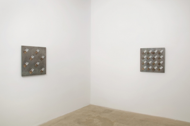 Roger Hiorns Installation view