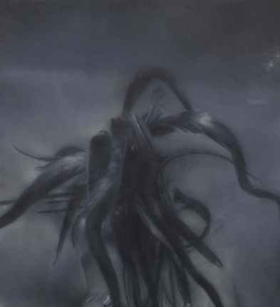 Johannes Kahrs Untitled (black plant), 2011