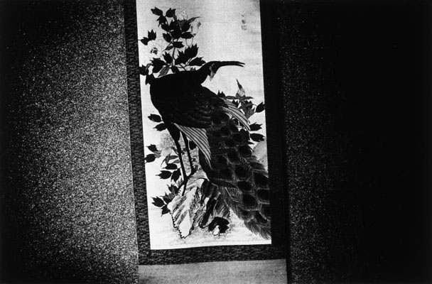 Daido Moriyama The Tales of Tono, 1976
