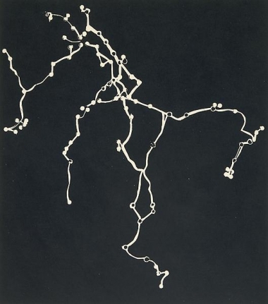 Zarina Travels with Rani II, 2008