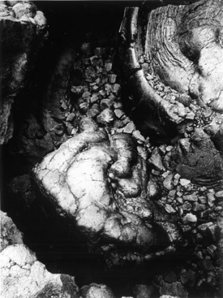 Daido Moriyama Hawaii, 2007/2008