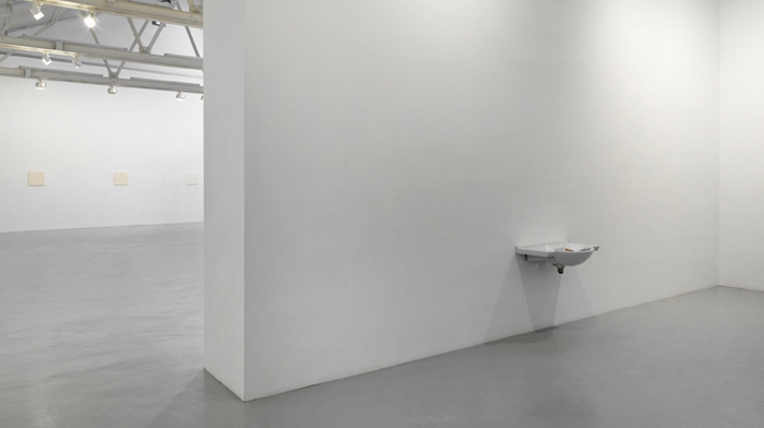 Roger Hiorns Installation view