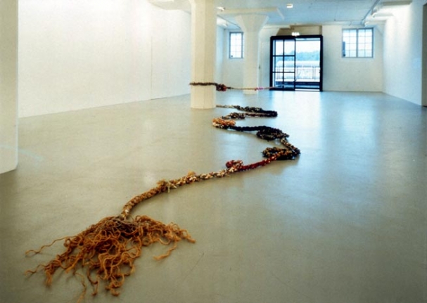 Janine Antoni Moor, 2001