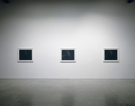 Luisa Lambri Installation view