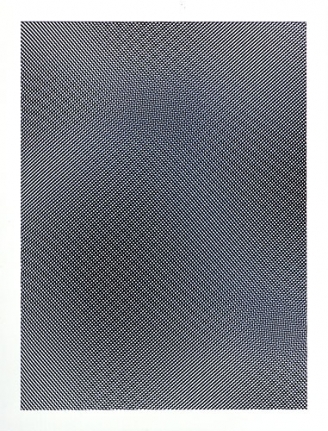 Liz Deschenes Moire #13, 2007