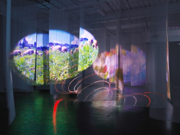 Pipilotti Rist , Pipiloti Rist: Pixel Forest, 2016