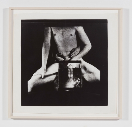 Brian Weil, Untitled (from the series Sex), 1981