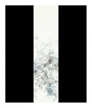 Luisa Lambri Untitled (Schindler House, #01), 2007