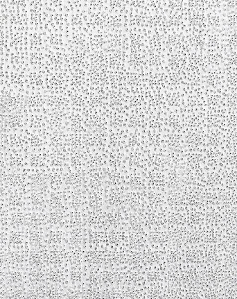 Zarina Untitled, 1979