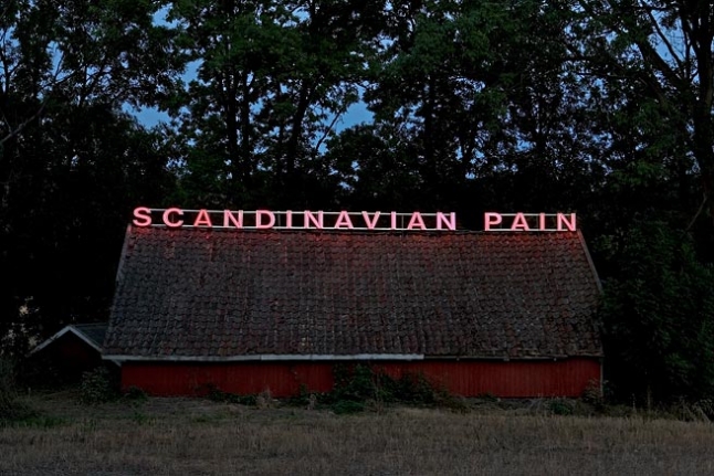 Ragnar Kjartansson Scandinavian Pain, 2007