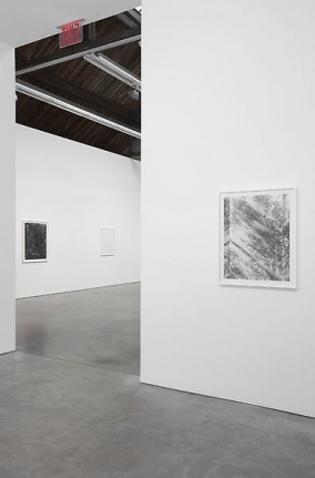 Luisa Lambri Certain Variables