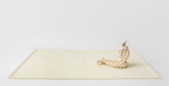 Janine Antoni to twine, 2015
