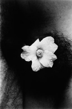 Daido Moriyama Documentary 82 ('86.3 Setagaya-ku, Tokyo), 1986