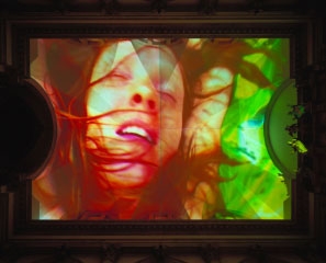 Pipilotti Rist , Homo Sapiens Sapiens, 2005