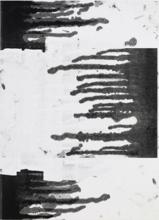 Christopher Wool Untitled, 2015