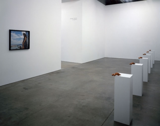 Janine Antoni Up Against
