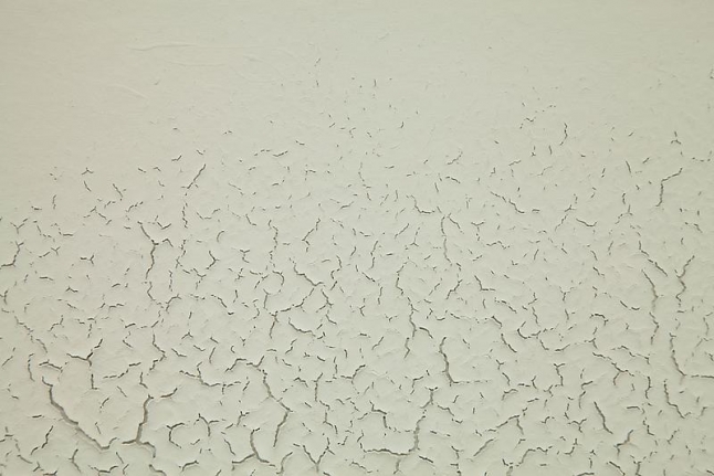 Tom Friedman Light Gray Mudscape, 2014